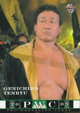 Genichiro tenryu 2005 for sale  Whiting