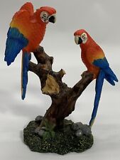 Macaw parrot birds for sale  Hanover