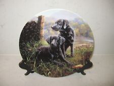 labrador dog plates for sale  WELLINGBOROUGH