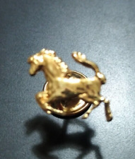 cavallo oro usato  Tuscania