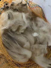 Schafwolle rohwolle bio gebraucht kaufen  Hermsdorf