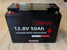 12v 50ah lithium gebraucht kaufen  Nalbach