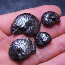 4pcs 18-33mm Goniatite  Hematite Devonian Fossil lot Ammonite 40, used for sale  Shipping to South Africa