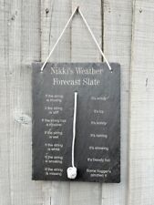 Personalised weather forecast for sale  RINGWOOD