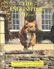English dog home for sale  UK