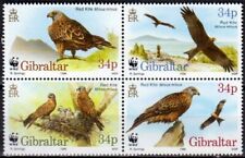 Gibilterra 1996 birds usato  Spedire a Italy