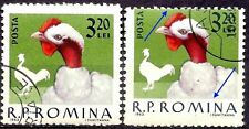 Romania 1963 gallo usato  Trambileno