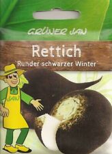 Rettich schwarzer winterrettic gebraucht kaufen  Borstel-Hohenraden