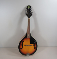 Rogue string mandolin for sale  Wallingford