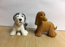 afghan hound puppies for sale afghan hound puppies for sale Canada