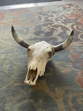 Cow steer skull for sale  Gilroy