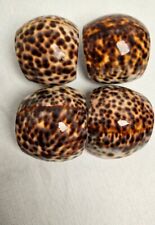 Natural tiger cowrie for sale  Forney