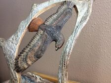 taxidermy hawk for sale  Carson City