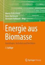 Energie biomasse grundlagen gebraucht kaufen  Stuttgart