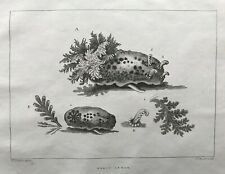 1785 antique print for sale  MARLOW