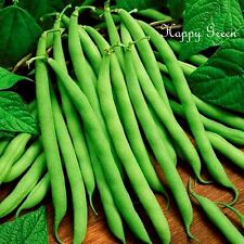 Dwarf french bean for sale  Shipping to Ireland