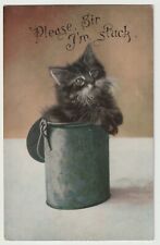 Adorable Fluffy Kitten in Milk Can c1900's Postcard 899J for sale  Shipping to South Africa