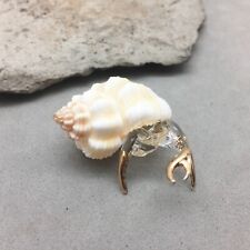 Glass hermit crab for sale  Anna