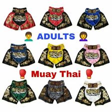 Muay thai fight for sale  Shipping to Ireland
