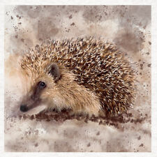 Animal european hedgehog for sale  BLYTH