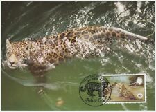 Belize Maxi 1983, Jaguar (Panthera onca) em River, Estado perfeito, usado comprar usado  Enviando para Brazil