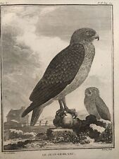 Falconeria ornitologia 1780 usato  Roma