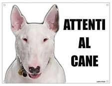 Bull terrier attenti usato  Castel San Giovanni