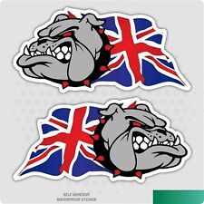 British bulldog wavy for sale  BIRMINGHAM