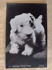 Dog postcard sealyham for sale  POTTERS BAR