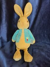 Peter rabbit teddy. for sale  ROCHESTER
