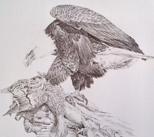 Birds wildlife eagle for sale  Sahuarita