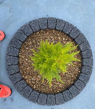 80cm garden circle for sale  Shipping to Ireland