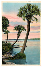 Postcard chrome palmettos for sale  Chandler