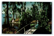 Postcard tropical vegetation for sale  Saco