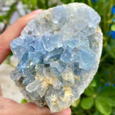 491G Natural Hermoso Cristal Celestita Azul Geoda Cueva Mineral Espécimen segunda mano  Embacar hacia Mexico