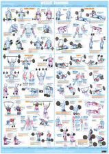 Weight Training Exercise Poster Bodybuilding Chart for sale  Shipping to South Africa