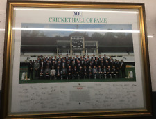 Picture frame cricket for sale  MILTON KEYNES