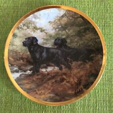 End trail plate for sale  Norfolk