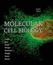 Biología Celular Molecular - Tapa Dura, por Lodish Harvey; Berk Arnold; - Aceptable, usado segunda mano  Embacar hacia Argentina