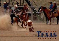 Texas rodeo roping for sale  Sandusky