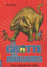 11. grotte dinosaures d'occasion  France