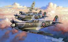 Spitfire britains war for sale  BIRMINGHAM