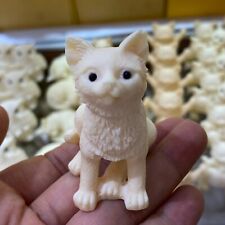 2"+ Natural Genuíno Tagua Nut Plutus gato esculpido à mão decoração cura reiki 1 peça comprar usado  Enviando para Brazil