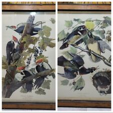 framed audubon prints for sale  Astoria