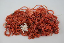 280g antique coral for sale  LEEDS