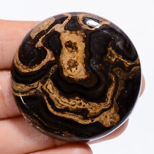 Stromatolite 113.00 Cts. 100% Natural 42X42X6 MM Round Cabochon Loose Gemstone, used for sale  Shipping to South Africa