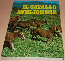 Gabrielli cavallo avelignese usato  Prato