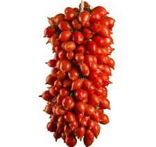 Tomaten pflanzen piennolo gebraucht kaufen  Erwitte