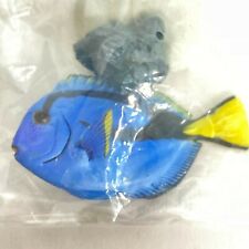 Yujin peixe de água salgada 1 figura miniatura paleta peixe cirurgião importação Japão comprar usado  Enviando para Brazil