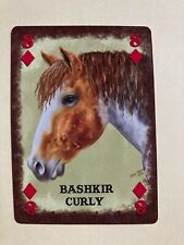 Bashkir curly horse for sale  Azle